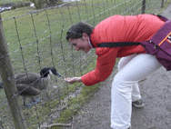 Cinzia Bonadea mit Gans